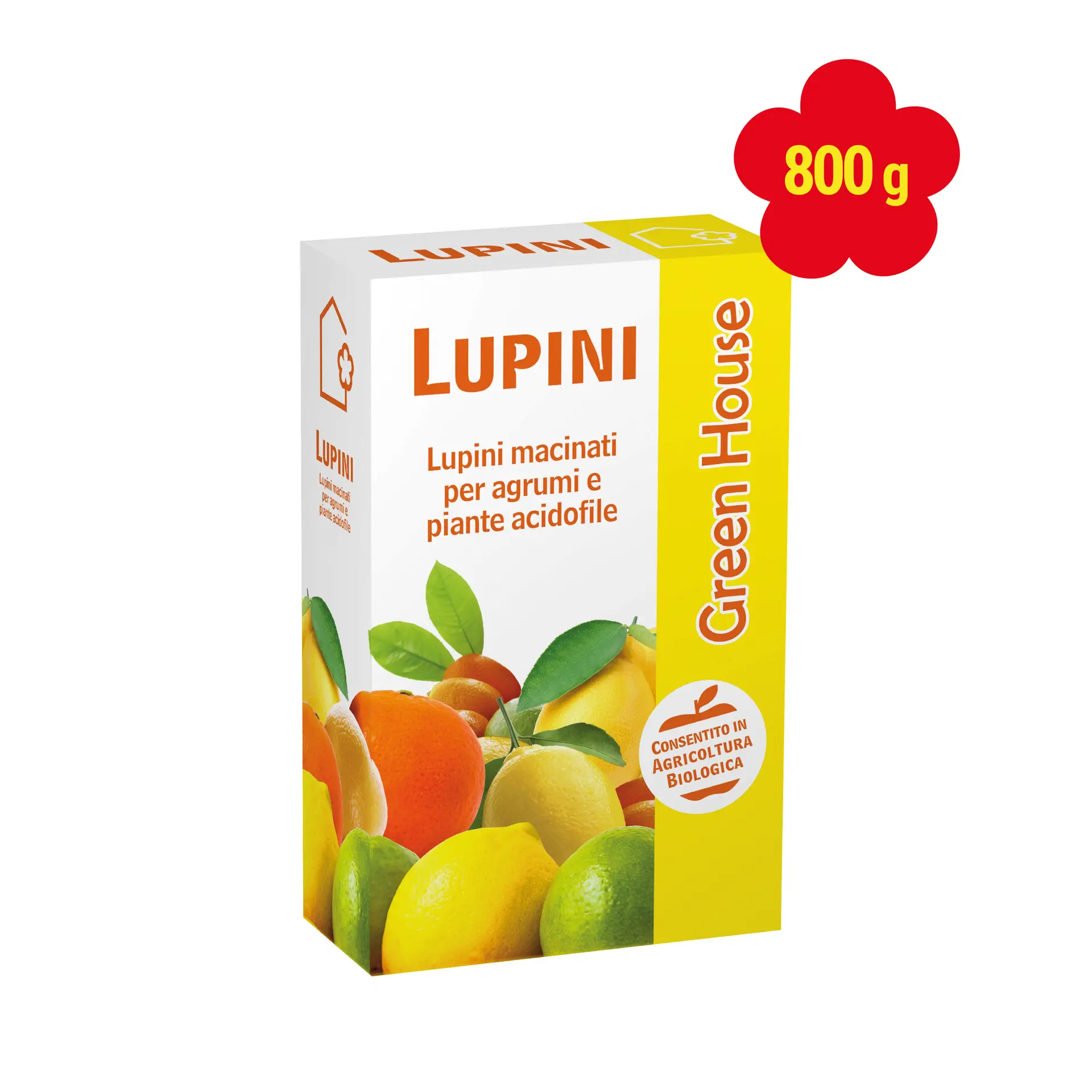LUPINI