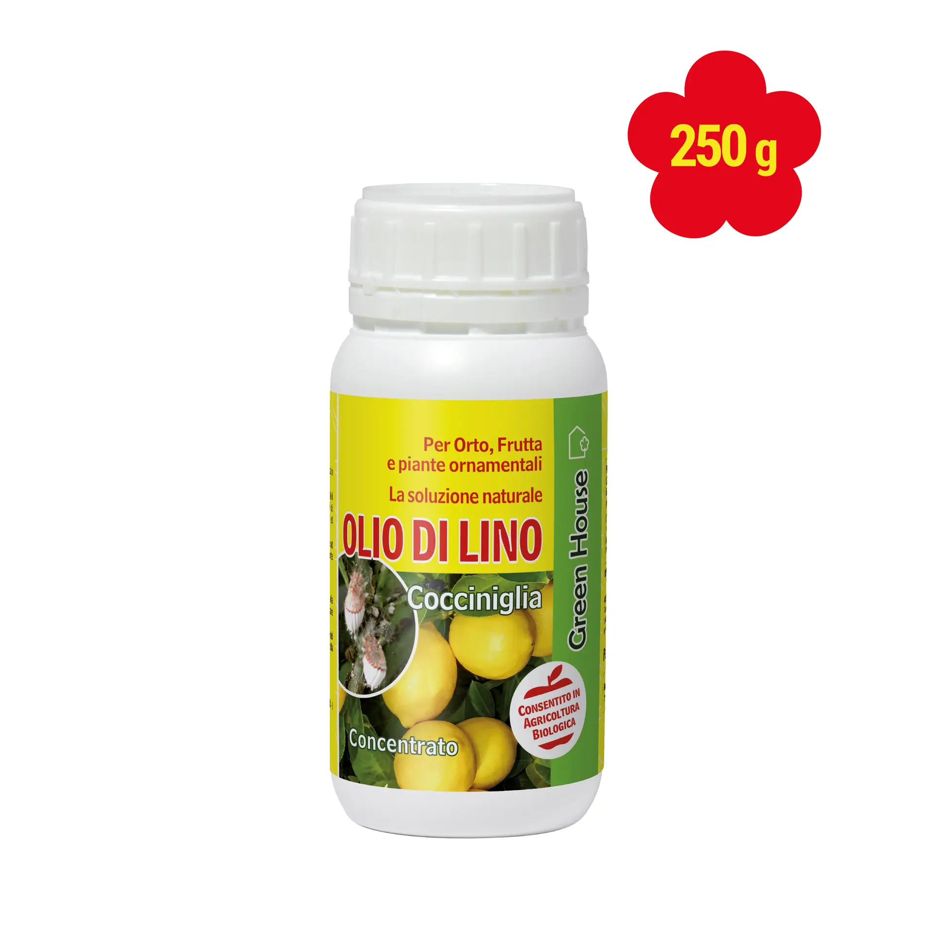 OLIO DI LINO