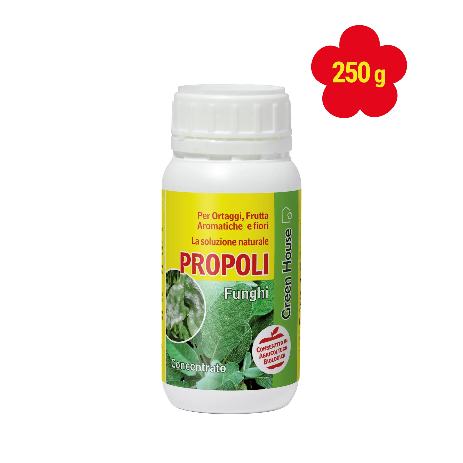 PROPOLIS