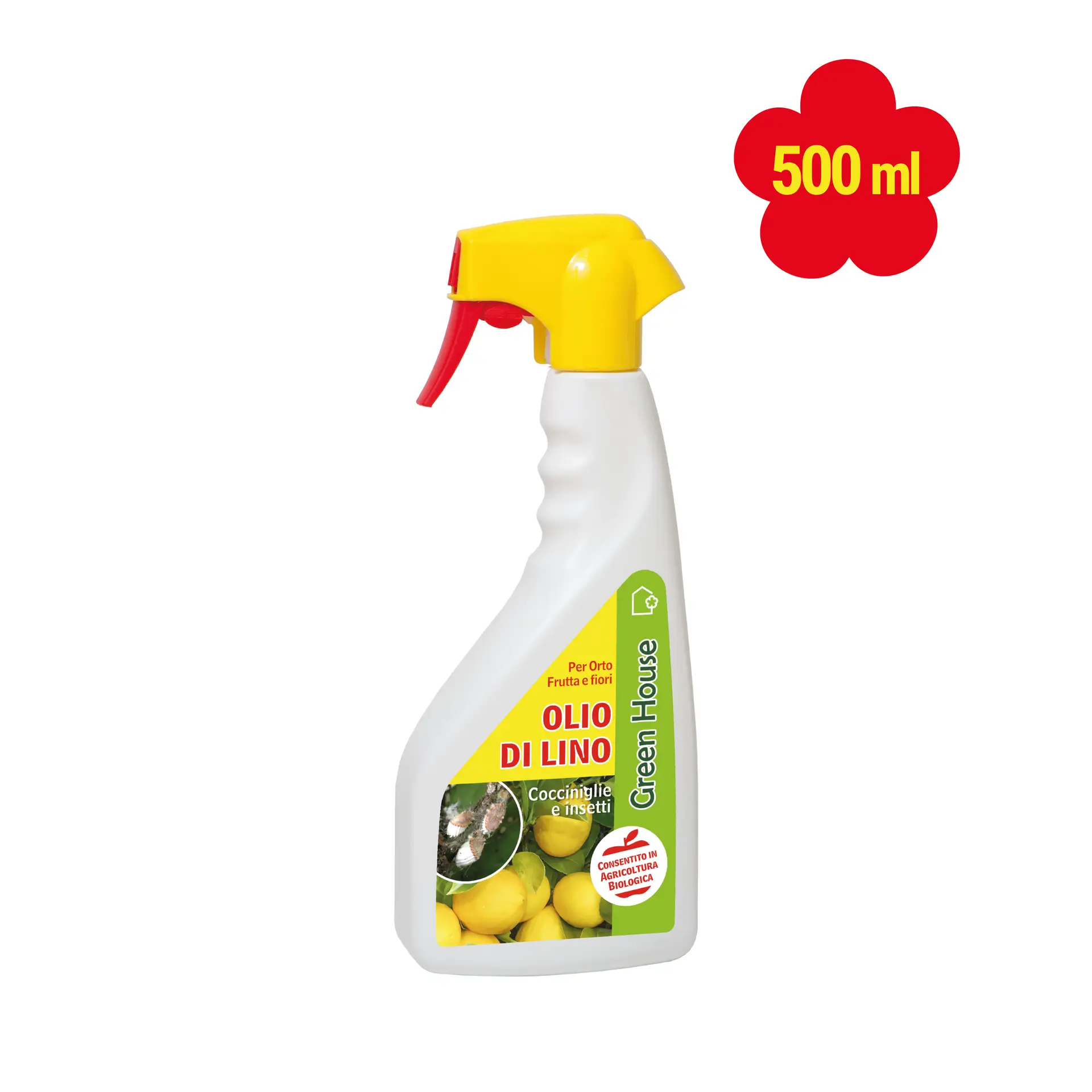 OLIO DI LINO