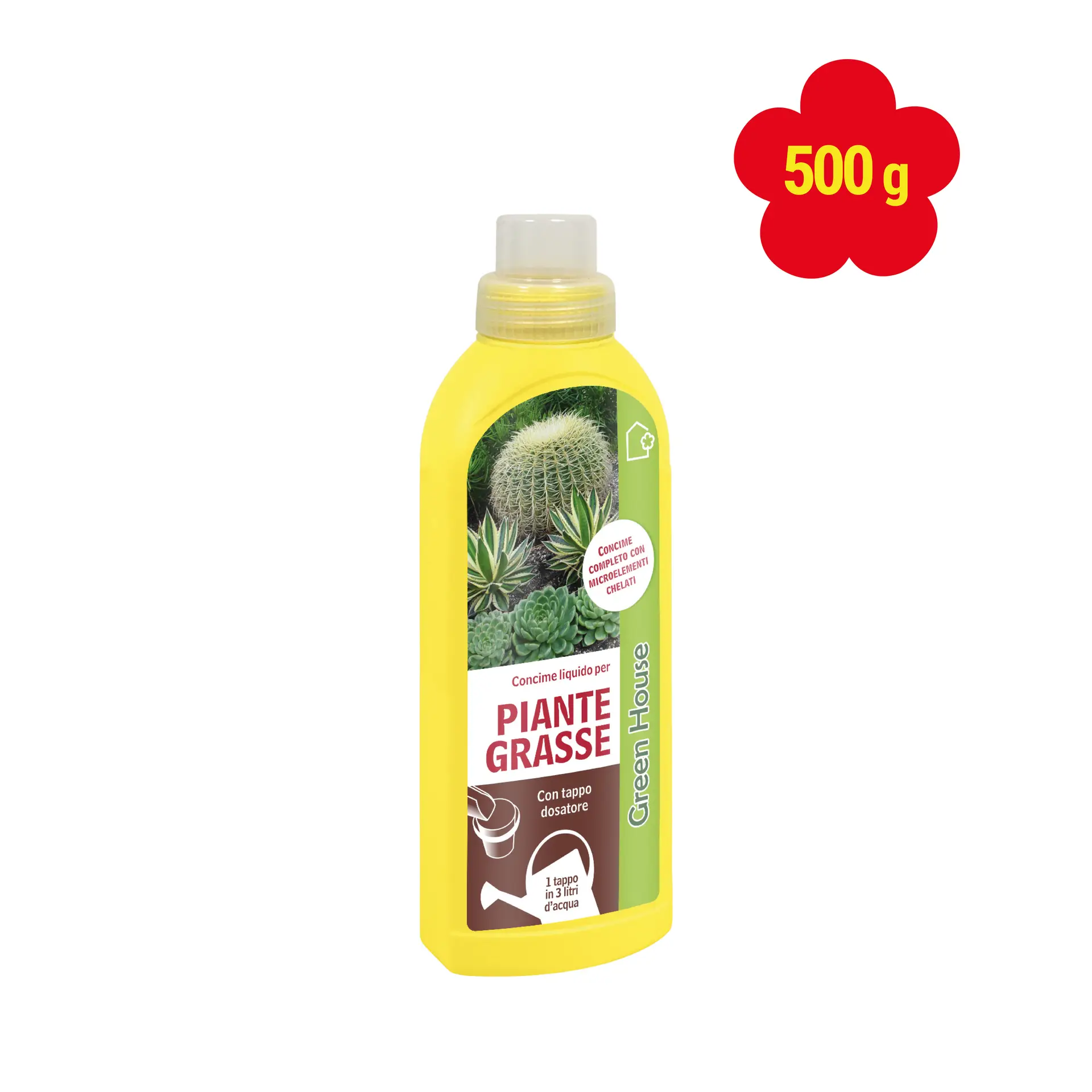 PIANTE GRASSE