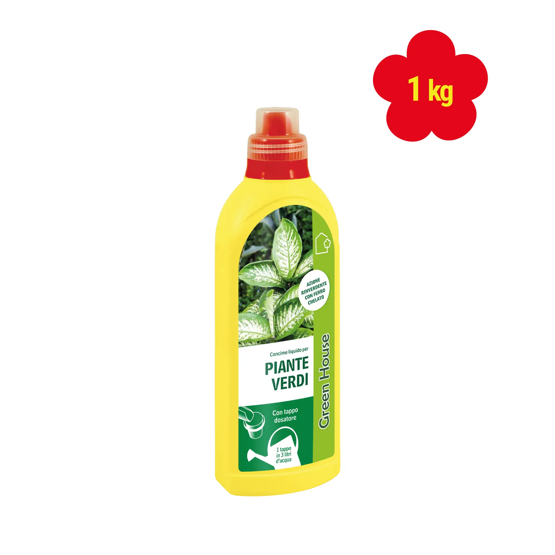 PIANTE VERDI