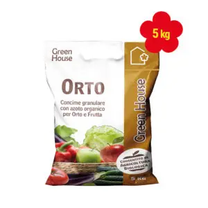 ORTO