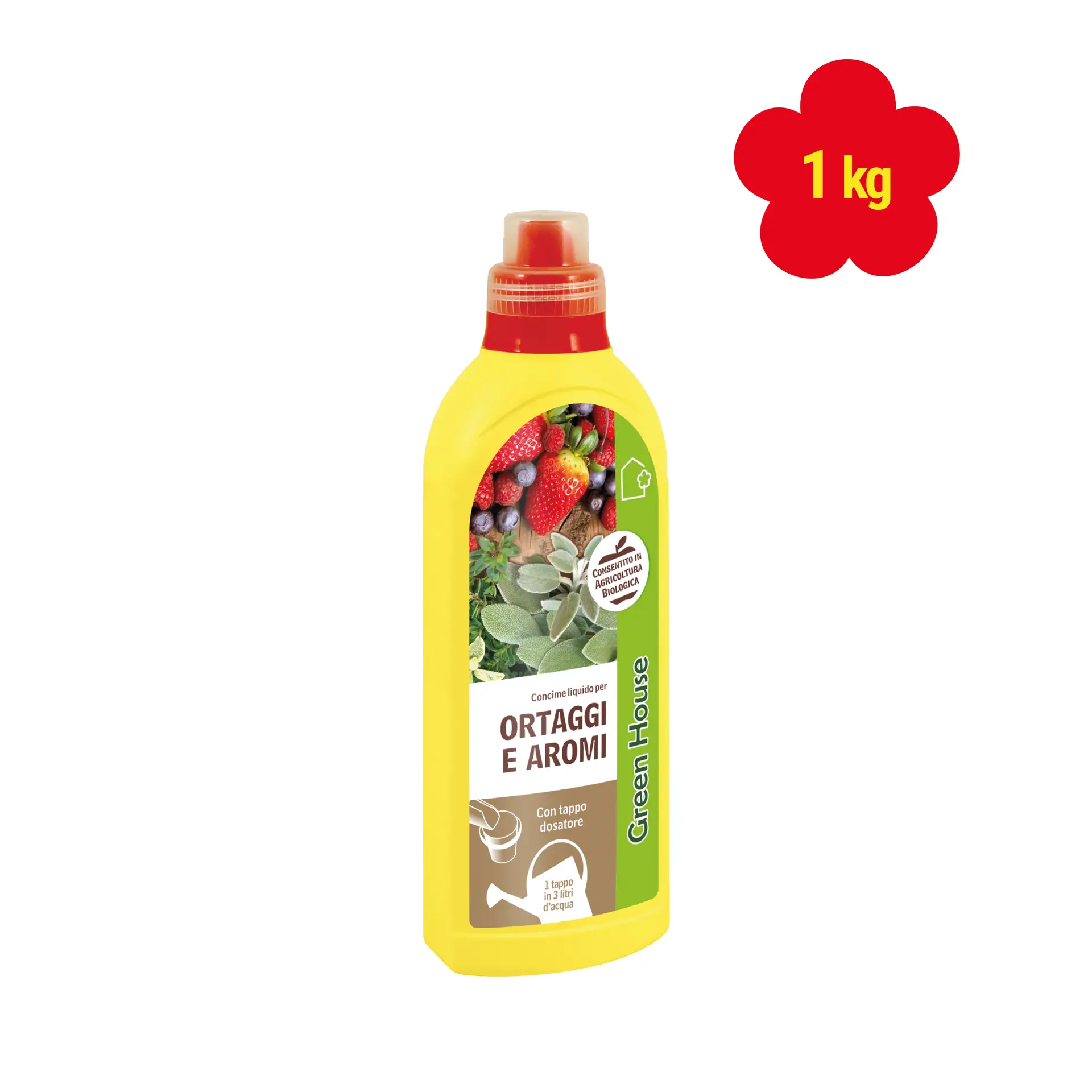ORTAGGI E AROMI
